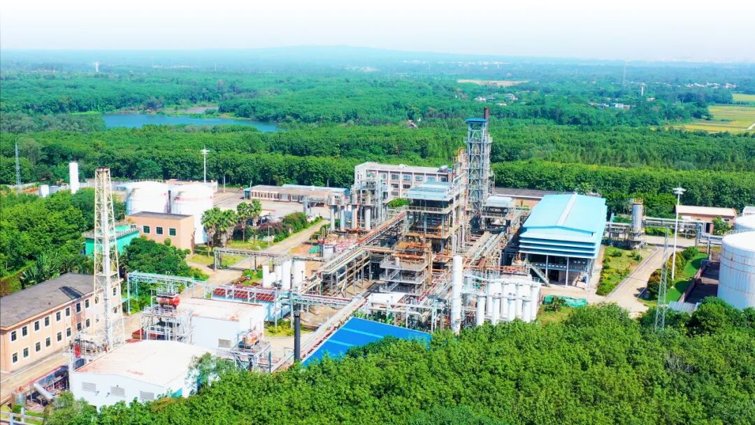 1762947478226530.jpg 1111圖片1.jpg